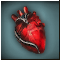 Анатомическая Модель Сердца F