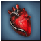 Анатомическая Модель Сердца