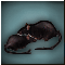 Живые Крысы