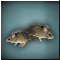 Мелкие Крысы