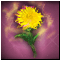 Топазовый цветок